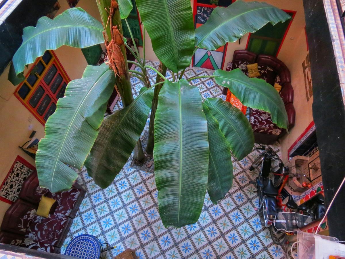 Riad Espagne Marrakesh Ngoại thất bức ảnh